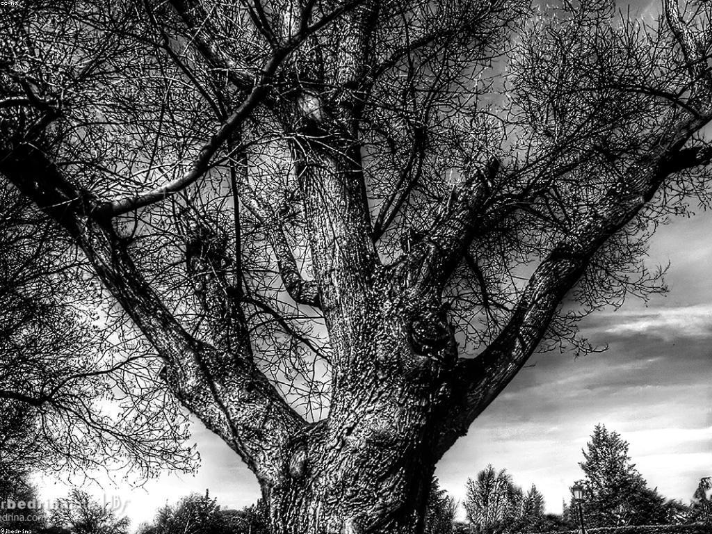 យុទ្ធសាស្ត្រសម្រាប់ការឈ្នះនាពេលនេះ